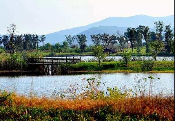 山东省政府网站刊发网友建议，言辞犀利直指山东弊端