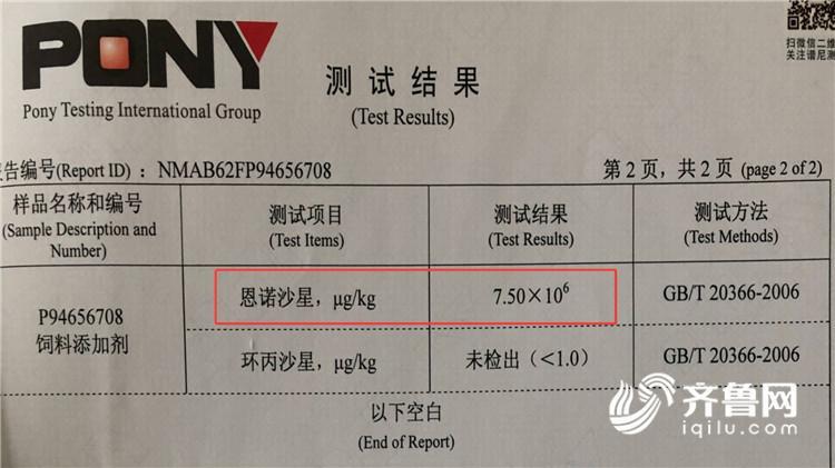问政山东丨饲料添加剂里偷加抗生素 百吨鸡蛋被销毁