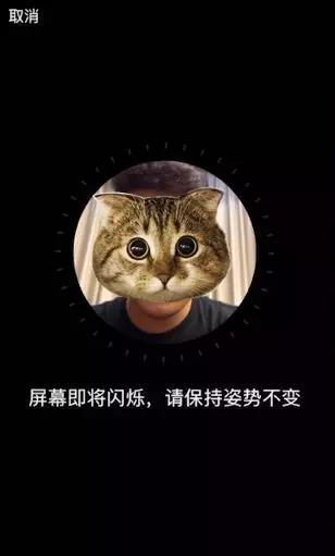 山东“电子驾驶证”来了!忘带驾照再也不怕啦,手把手教你申领