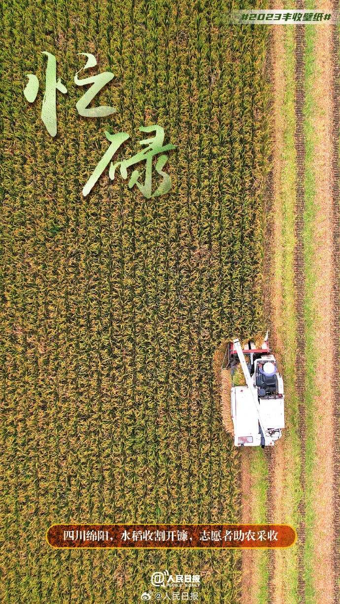 俯瞰丰收大地，美成了壁纸