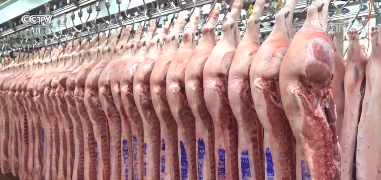 2万吨！今年第二批中央储备冻猪肉投放