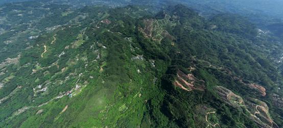 四川枪案嫌犯已在逃超3天：搜捕区域群山连绵，搜捕难度大