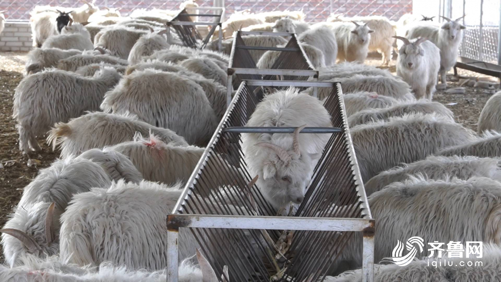 鲁蒙温情暖草原 结对书记再访嘎查脱贫户