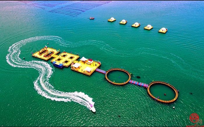 【绿动齐鲁 碳路未来】威海爱伦湾海洋牧场：打造海洋“低碳”新样板 生态效益带来“真金白银”