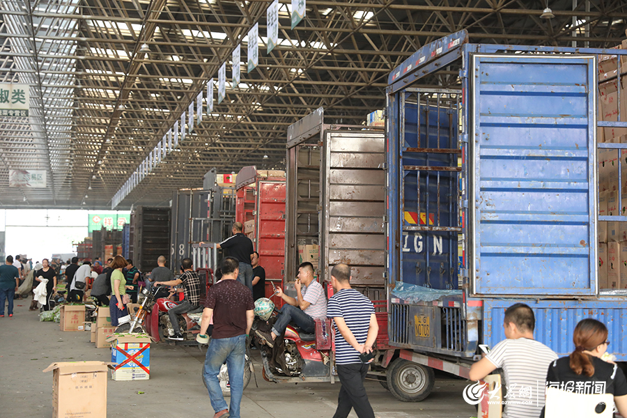 台风后探访寿光蔬菜物流园：供货充足！尖椒、西红柿、芹菜批发价降了（组图）