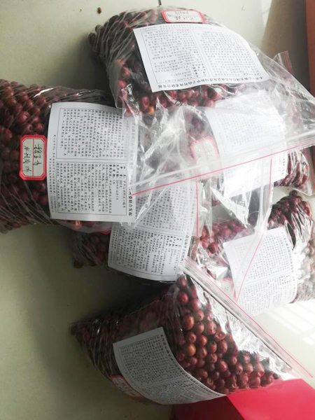 莒南党建引领网格化社会治理！实现与基层微治理良性互动