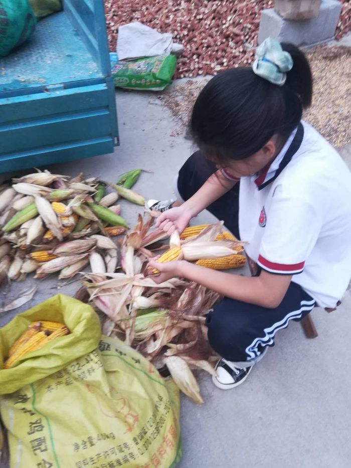 章丘区宁家埠学区张码小学:厉行节约 珍爱粮食 向浪费说“不”