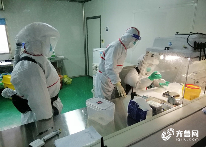 “疫”线战报｜鲁鄂同心 携手抗疫！山东省疾控中心援助鄂州应急检测队工作纪实