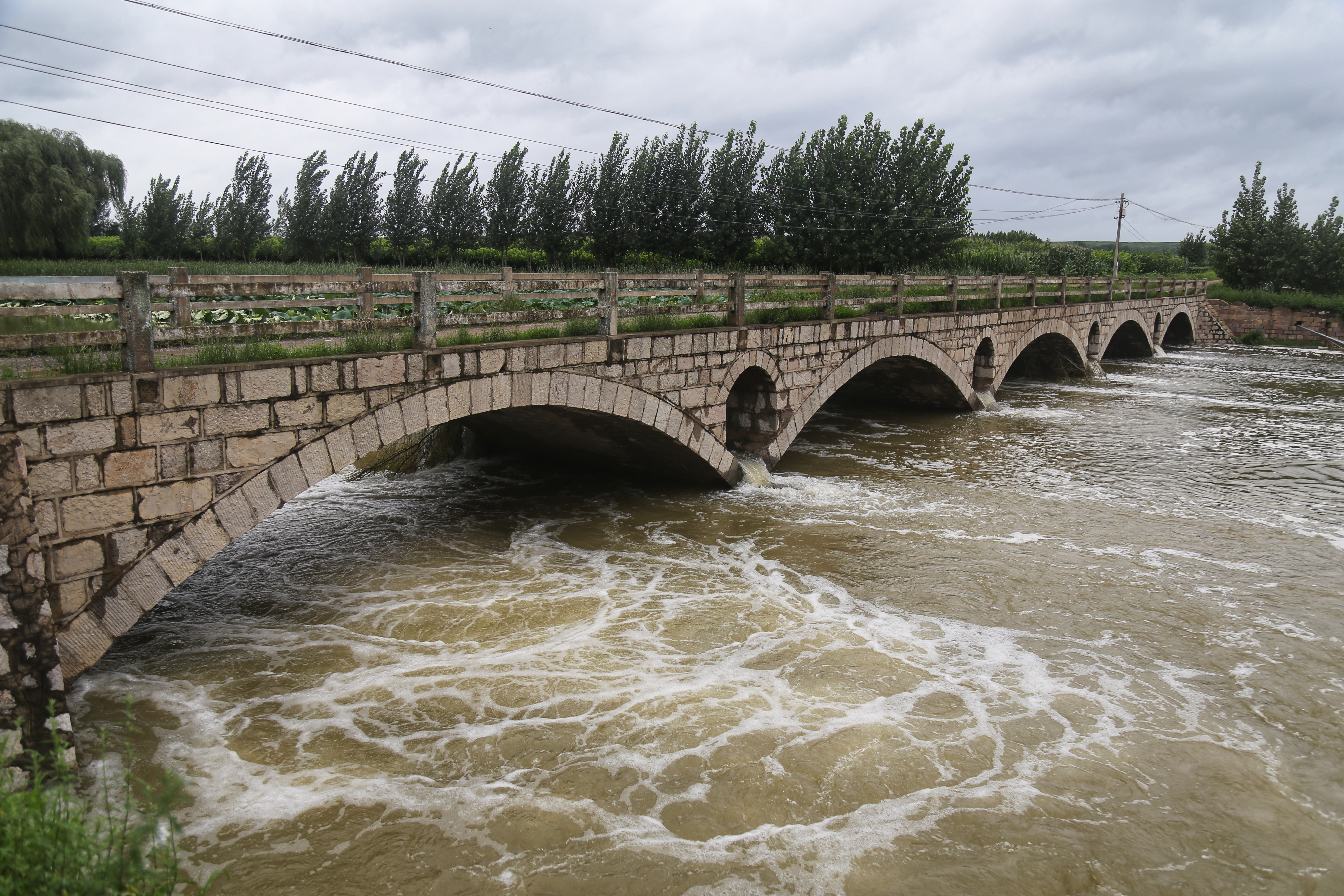 台风中牺牲的村干部：没来得及吃饭便赶去抢险，身上还穿着环卫工作服