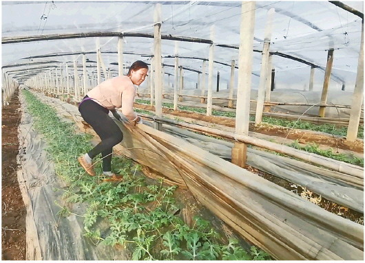 复工复产山东行动:防控复工两不误 人勤春早生产忙