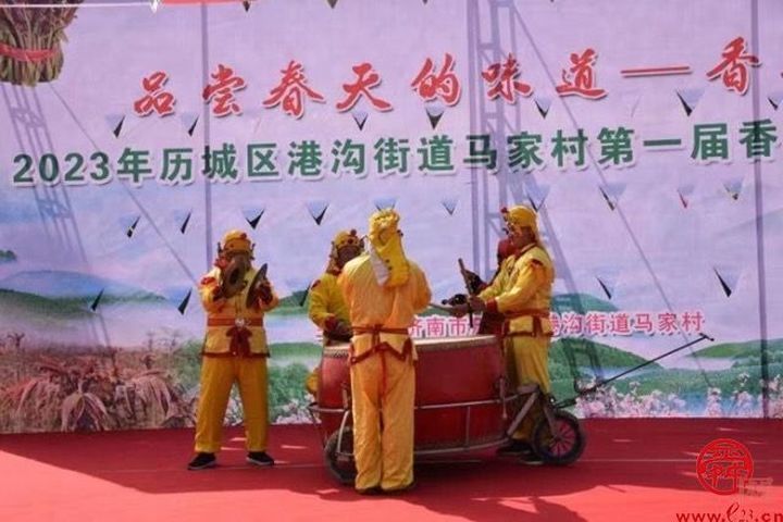 采“椿”食春味 历城区港沟街道马家村第一届香椿采摘节开幕