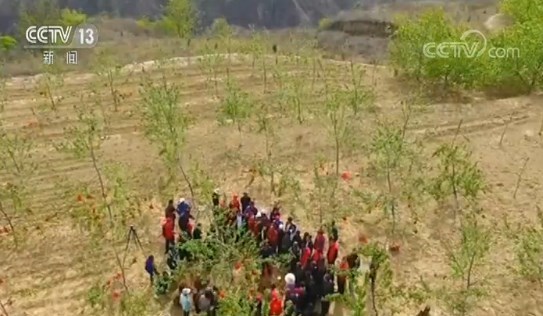 脱贫攻坚 革命老区换新颜 贫困县全“摘帽” 延安整体脱贫