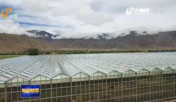 山东：产业援藏向纵深发展 特色小镇助精准脱贫