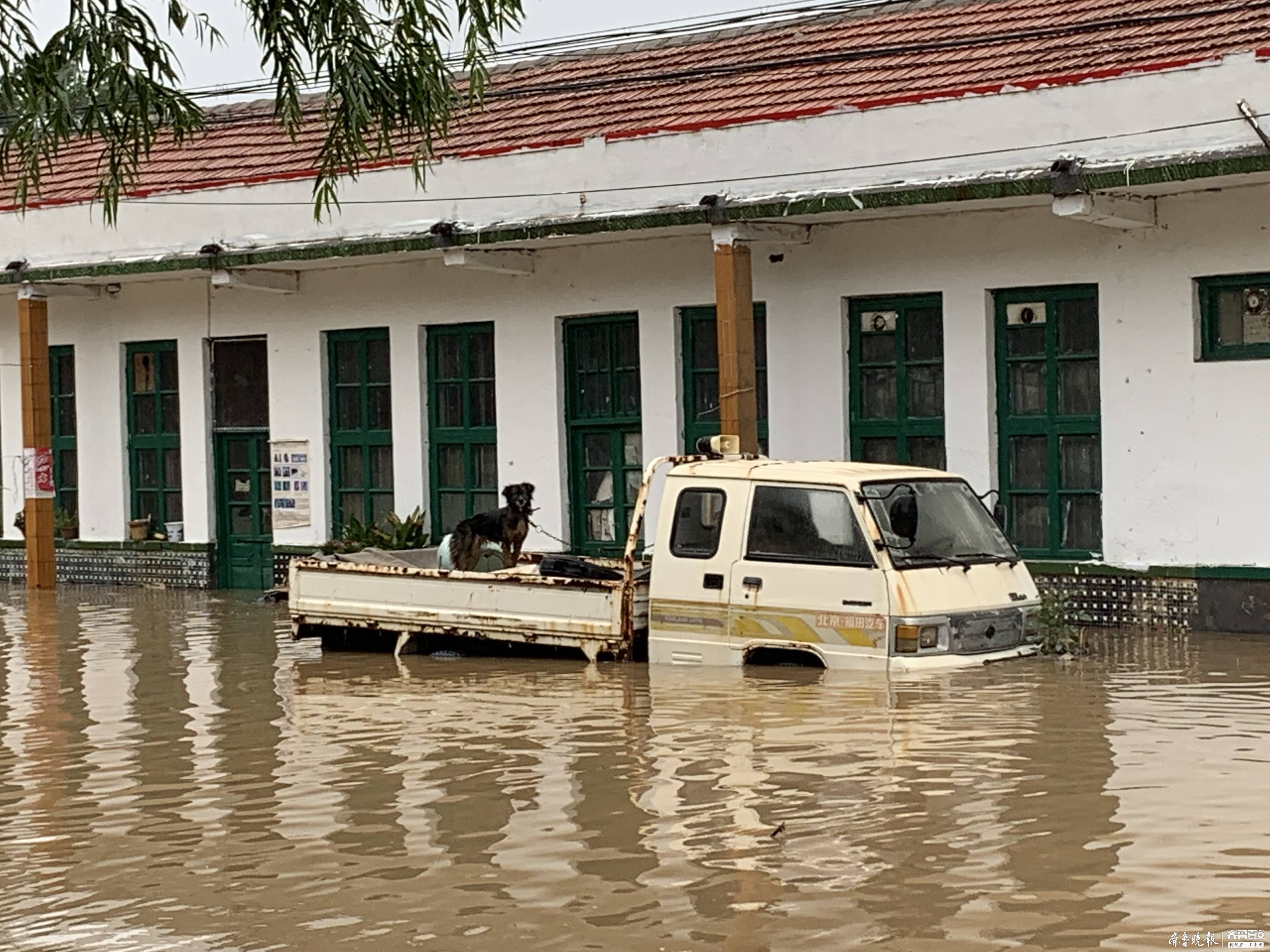 记者实地探访寿光营里镇：积水逐渐退去，有村民开始回家整理物品