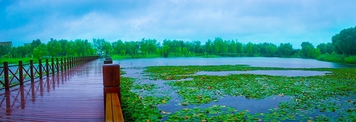 生态环境部授牌！槐荫区获评第七批生态文明建设示范区称号！
