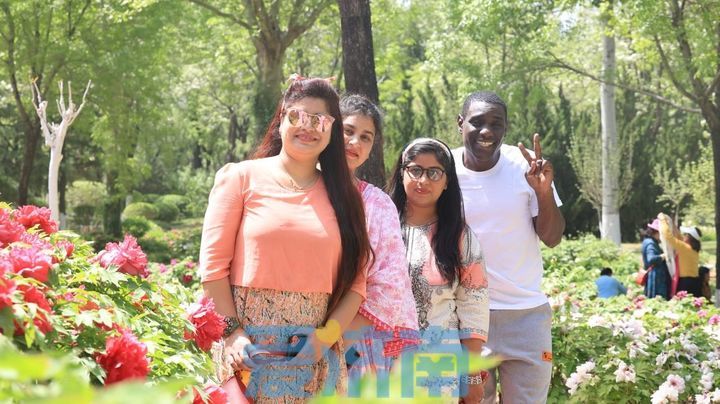 花间品美食、赏美景，外国友人体验别样济南生活