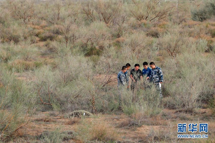 铁翼为犁　播种春天——空军某运输搜救团一大队飞播造林39年记事