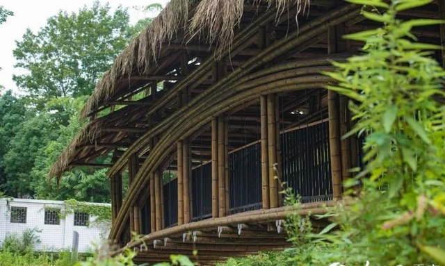 不可思议！重庆一农村用716根竹子造桥，竟获建筑界“奥斯卡”