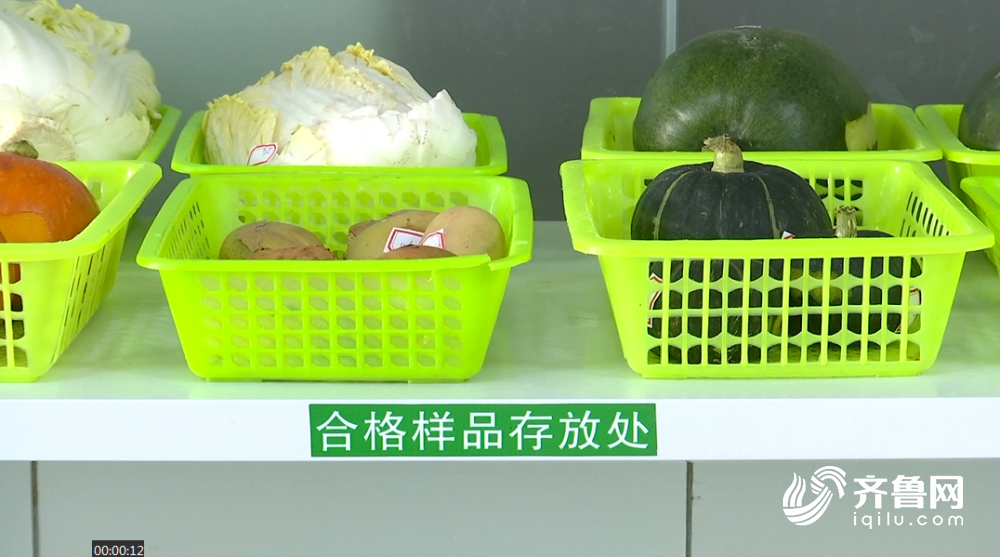 放心吃！山东蔬菜主产区生产的蔬菜产品质量抽检全部合格