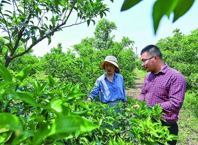 我国灵活就业者接近2亿人 大学毕业生占比持续攀升