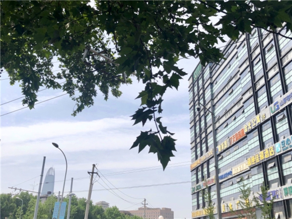 一年中最热的时候要来了！未来几天济南“高温烤箱”已备好