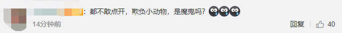 网曝宠物收养群现大量虐杀泰迪视频 电击、砍足、手段残忍