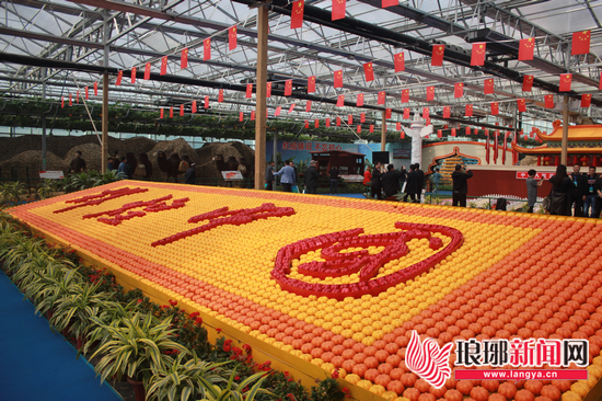 第七届兰陵(苍山)菜博会开幕 签约48.21亿元