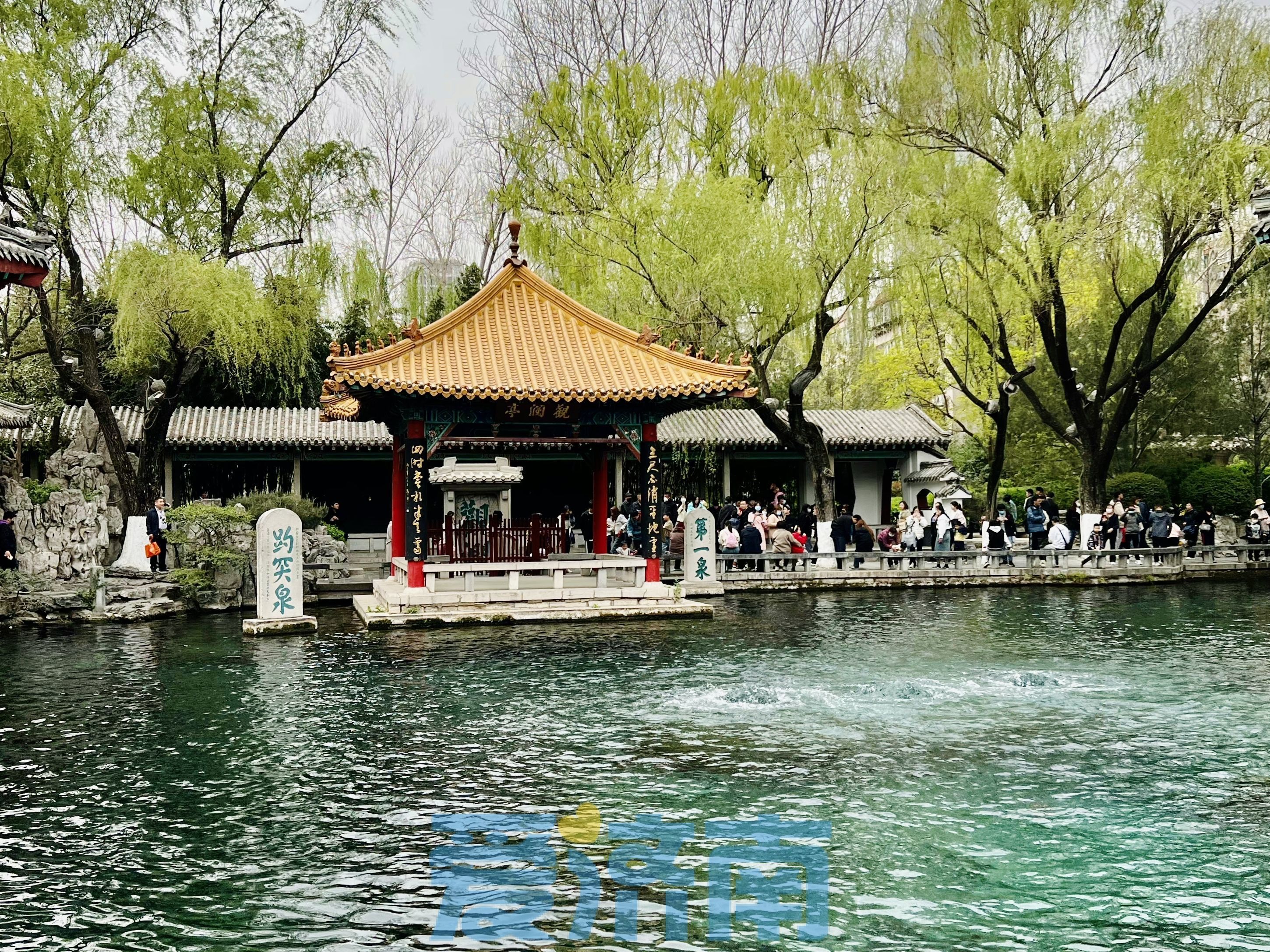 要升温啦！下周济南最高气温直奔24℃ 昼夜温差仍较大