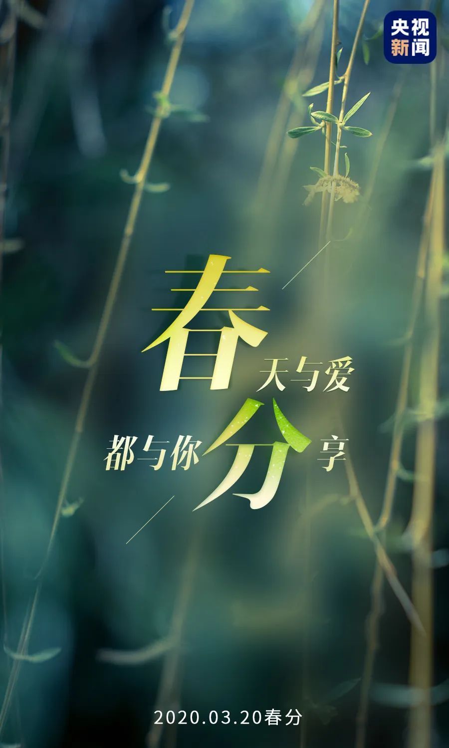 没有一个春天不会到来