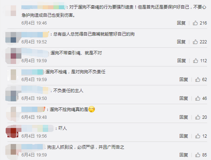 严惩!护狗反被咬是怎么一回事？真相原来是这样……