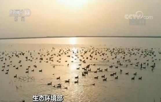 生态环境部：七大流域海域生态环境监管局挂牌