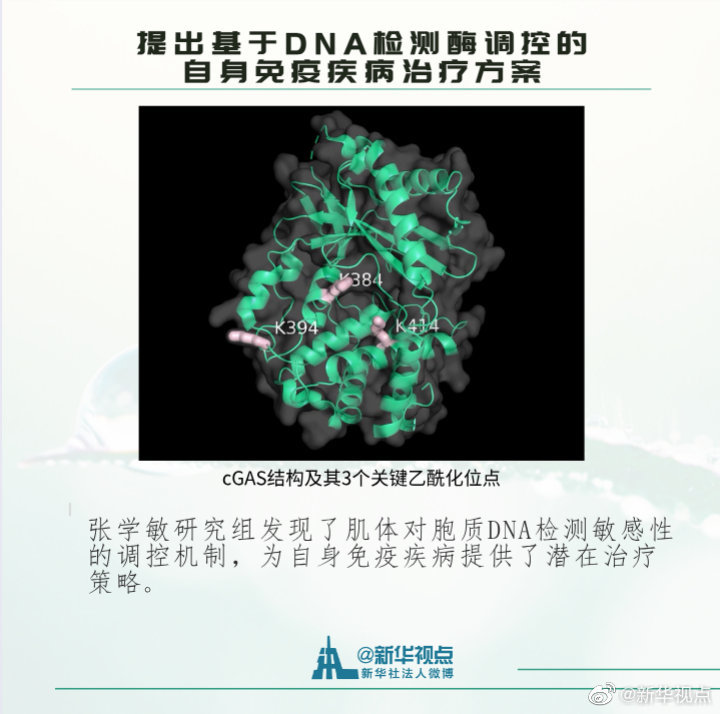 2019年度中国科学十大进展揭晓