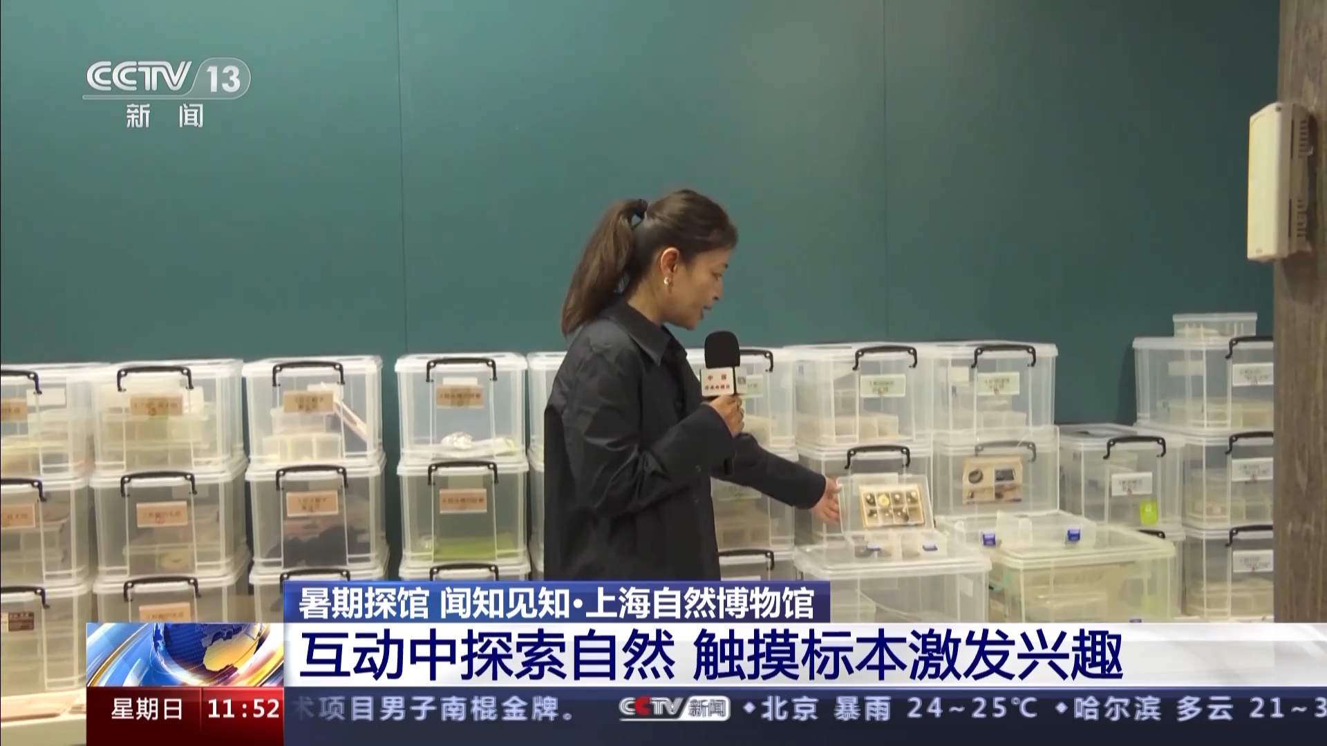 在互动中探索自然 这家热门博物馆有哪些特别的馆藏？