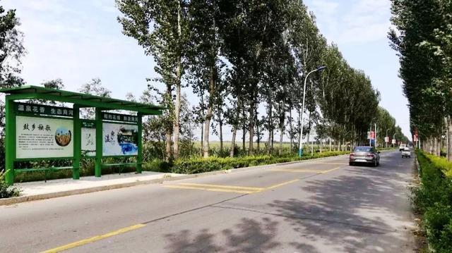 四好农村路:济南着力打造20条“畅洁绿美安”特色样板路