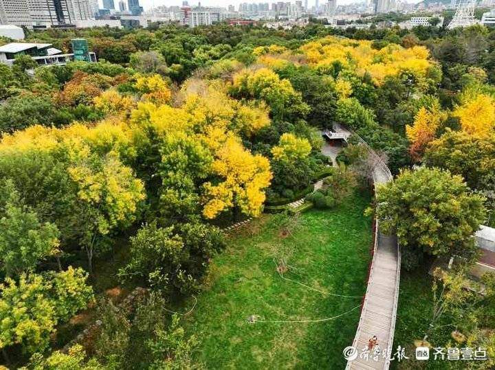 深秋时节泉城公园，色彩斑斓