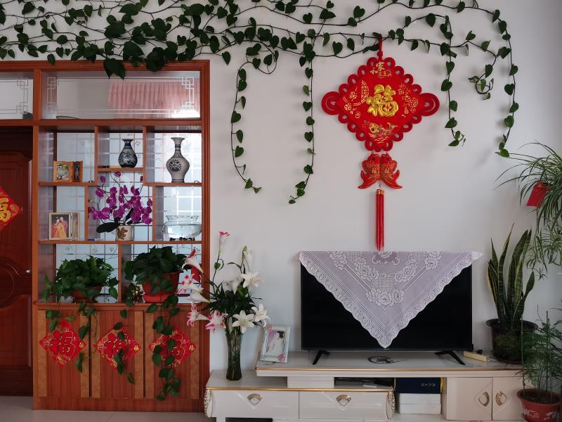 上门送“金点子”！美丽庭院绘就即墨美丽乡村新画卷
