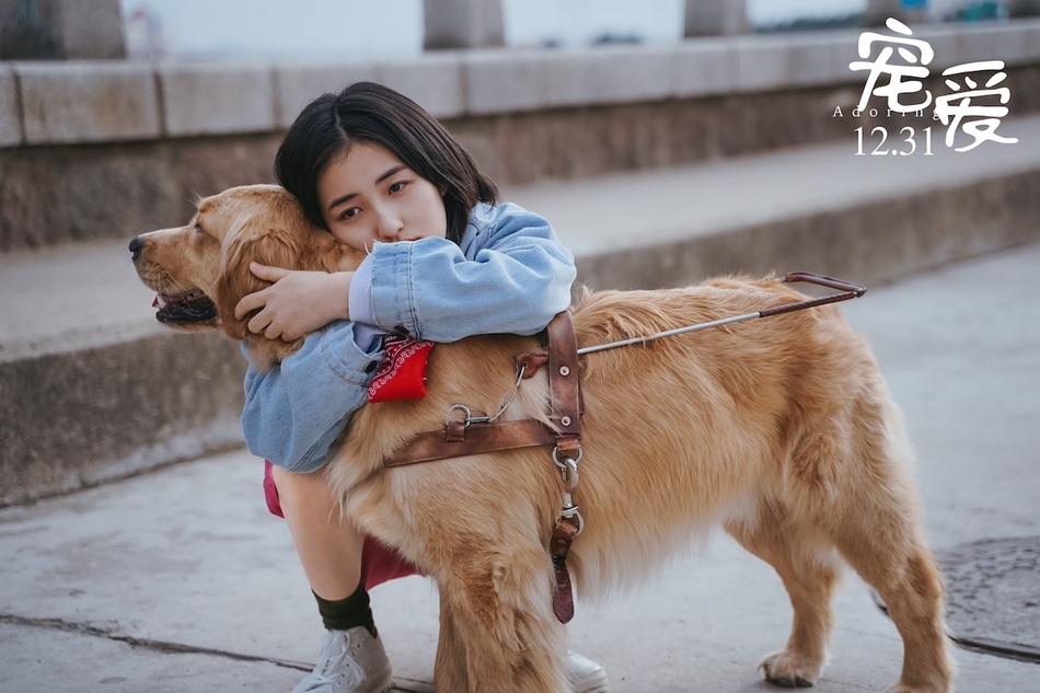 最萌身高差！吴磊张子枫拍戏惊现“劈叉抱”笑翻网友