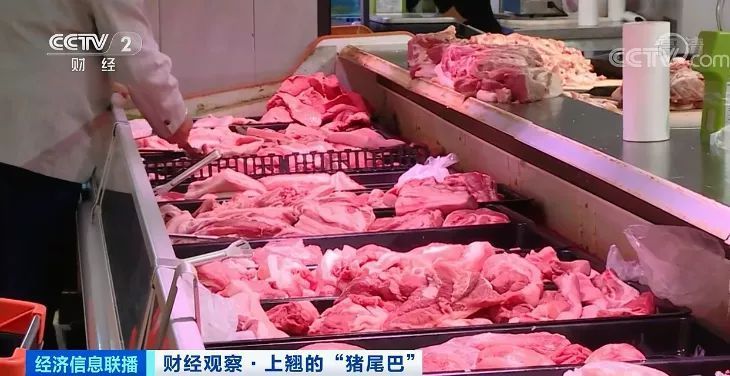 猪肉价格反弹！房企抢滩 卖猪比卖房挣钱？