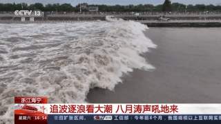 追波逐浪看钱塘江大潮！近距离观赏回头潮的汹涌澎湃