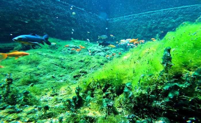 琵琶泉：泉透叠瀑琵琶声 独弹扬韵润心田