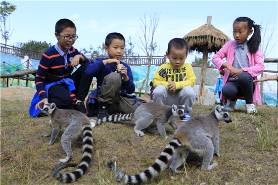 盛夏遇见山东“好景” 邀您“齐赏好景”