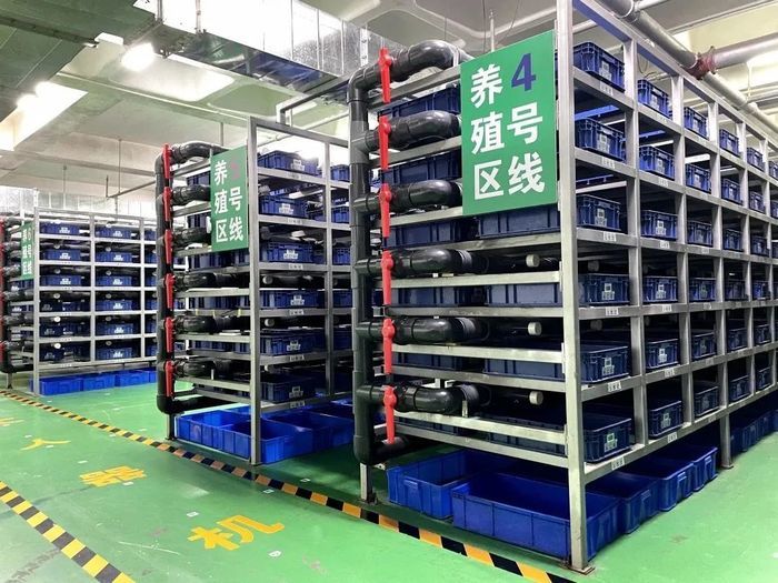 “5G+机器人”智能操作 这家商场厨余垃圾就地处理