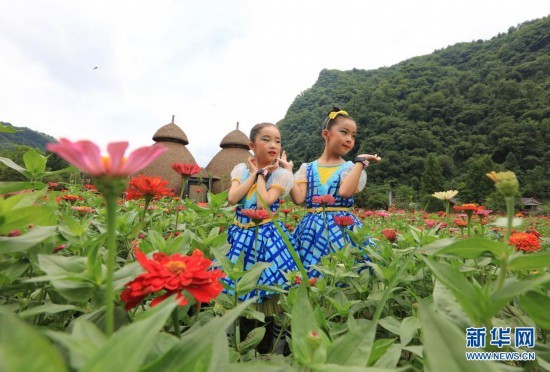 湖南张家界：夏日花海引客来