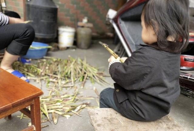 朱丹晒女儿背影照  侧颜呆萌可爱 菜地拔萝卜画风可爱