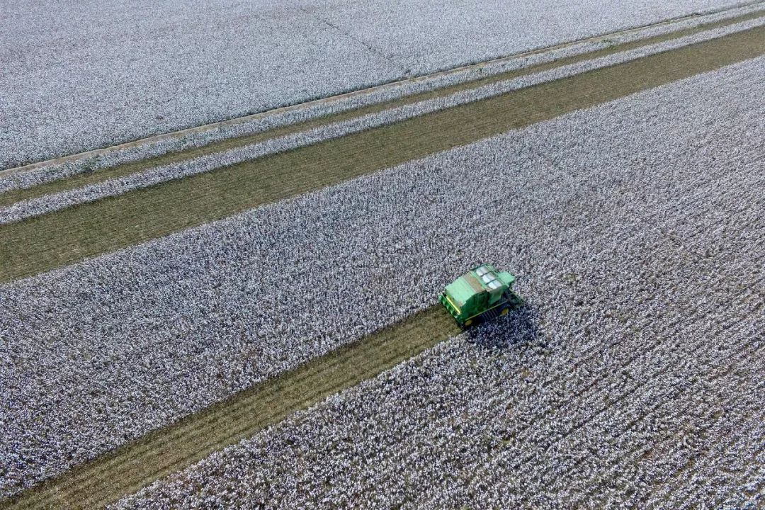 让14亿人不仅“穿暖”而且“穿好”，中国为什么能？