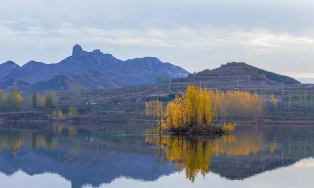这就是山东丨初冬的日照，竟然也美得不像话……