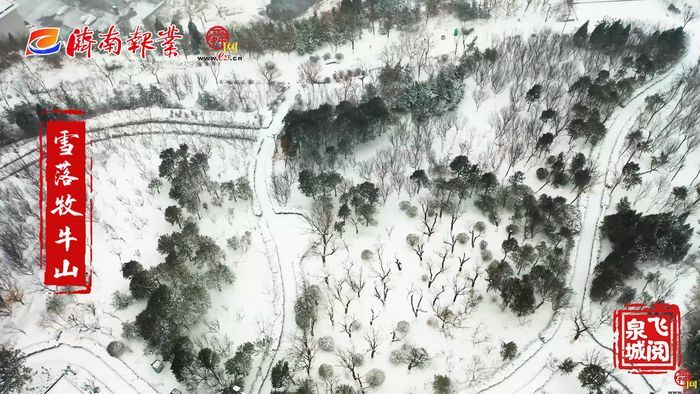 【飞阅泉城】雪落牧牛山绘就绝美水墨丹青