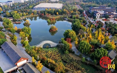 力诺集团：打造阳光、健康产业的济南品牌