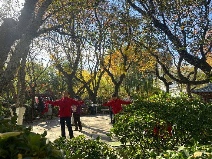 诗境感拉满！泉水叮咚鱼儿欢 色彩斑斓如画卷