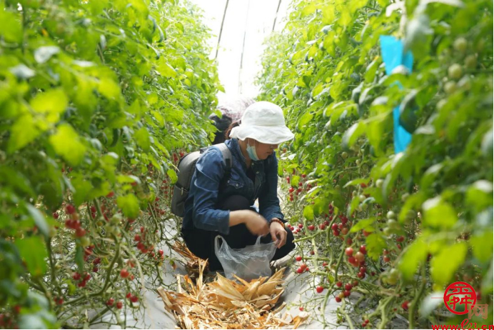 巾帼绽芳华 济南城市发展集团开展庆“三八国际妇女节”主题系列活动&nbsp;为庆祝第